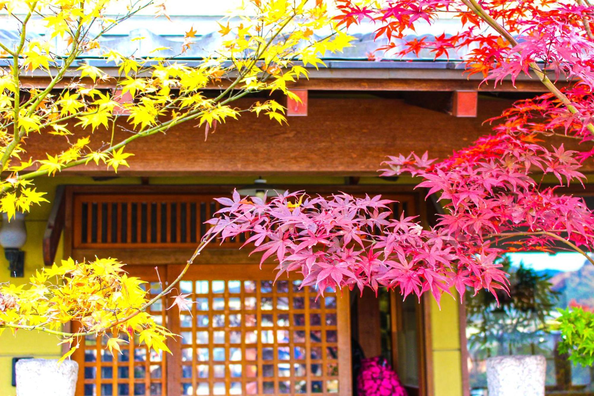 Stay Sakura Kyoto Nijo Castle West I Exteriér fotografie